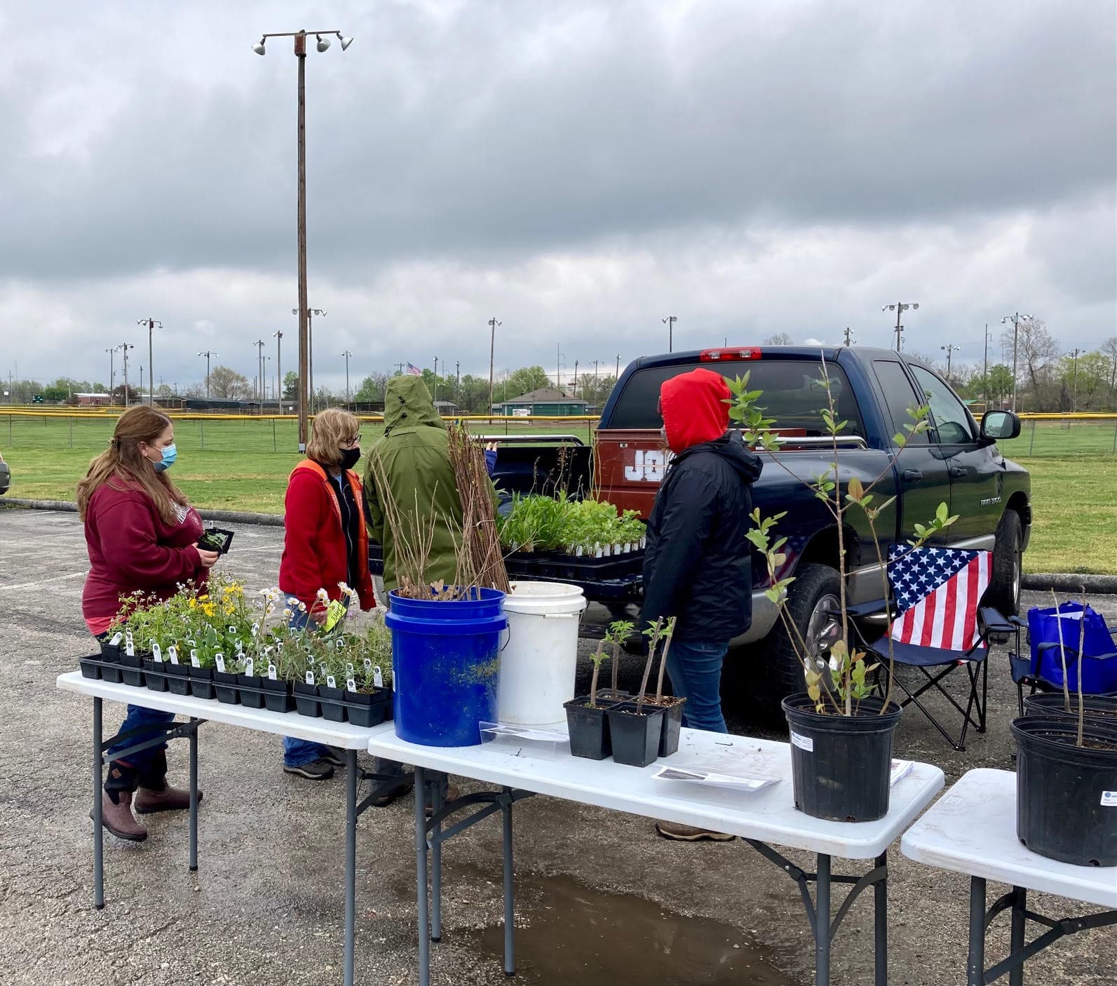 Image of flowers and plants to be planted around the community.